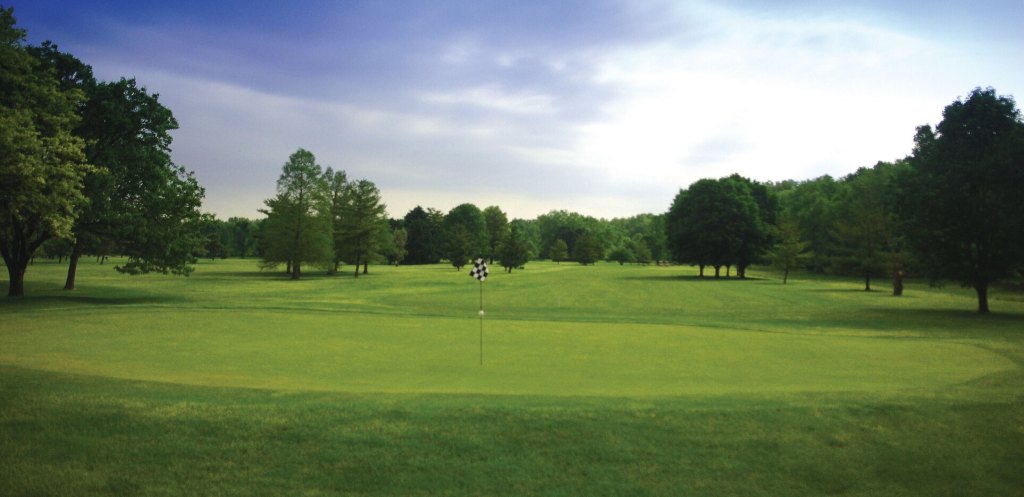 Golf course green with trees on fairway